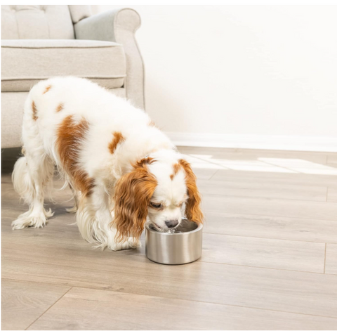 Our Pets Stainless Steel Doubled Wall Pet Water Bowl and Food Bowl Varies Sizes