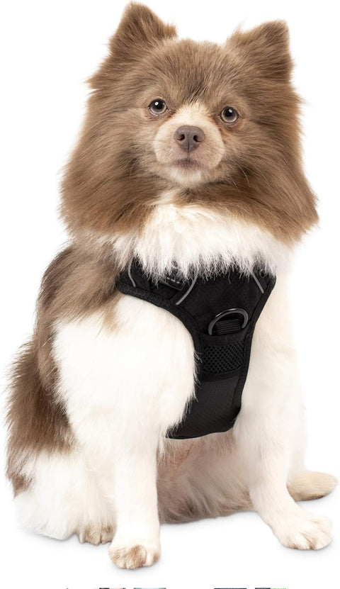 Pet Craft Supply Premium Dog Harness