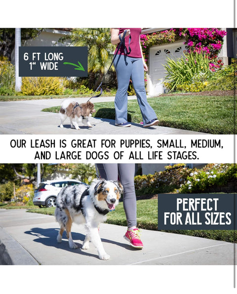 Pet Craft Supply No Pull Anti Shock Slip Free Bungee Leash