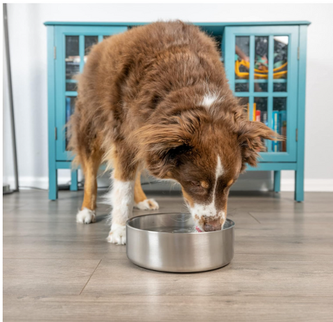 Our Pets Stainless Steel Doubled Wall Pet Water Bowl and Food Bowl Varies Sizes