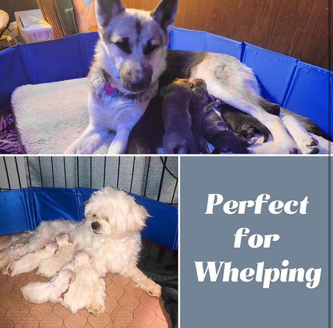 Artilife Whelping Box for Dogs Welp Box Whelping Pool,Puppy Whelping Box,Whelping Pen for Dogs,Whelping Box for Dogs and Puppies,Great for Puppies,Easy to Clean (39inch Dia.x12inch H(100x30cm), Blue)