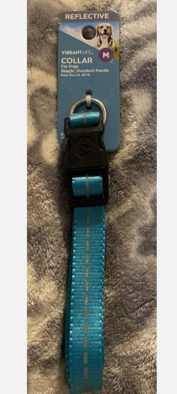 Vibrant Life Dog Collar Medium Teal, 14 - 20 inch Neck, 5/8" Wide