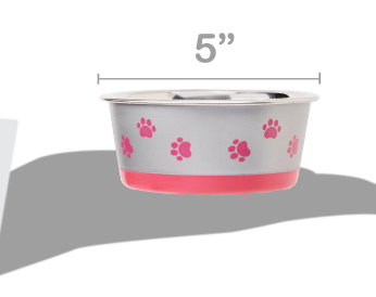 Vibrant Life Paw Print Stainless Steel Pet Bowl - Perfect for Dogs and Cats Varied Colors and Sizes